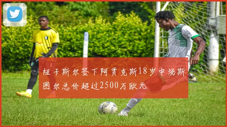 纽卡斯尔签下阿贾克斯18岁中场斯图尔总价超过2500万欧元